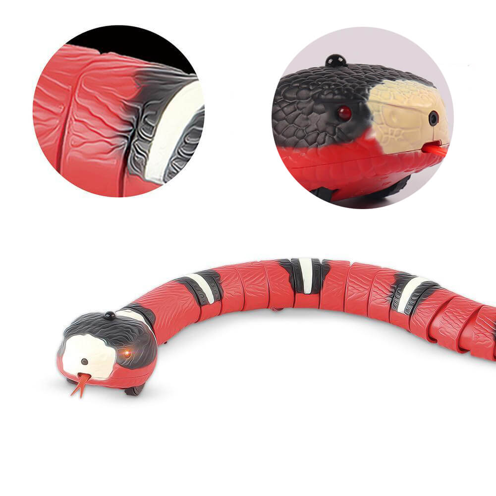 Smart Snake Teaser Toy for Cats