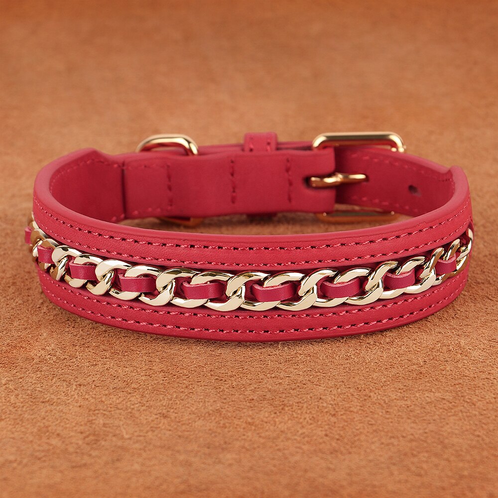 Metal-Decorated Leather Dog Collar