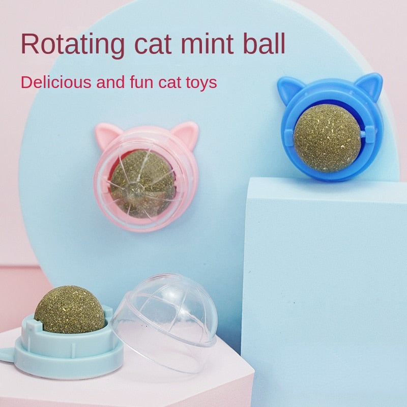 Purrfect Catnip Treat Ball