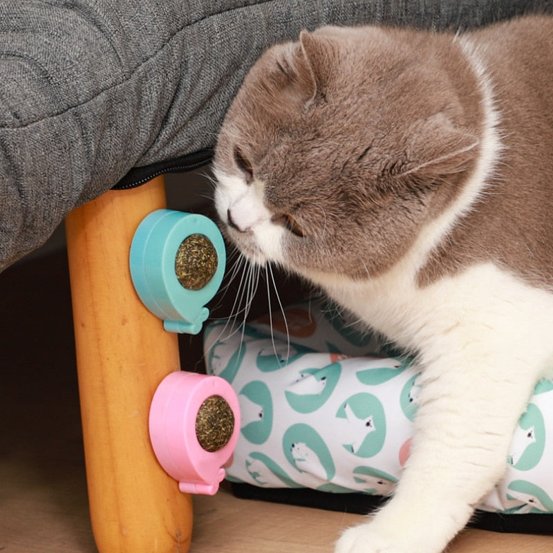 Purrfect Catnip Treat Ball