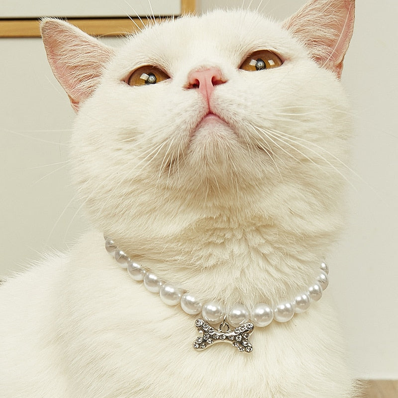 Pet Pearl Necklace with Rhinestone Accents