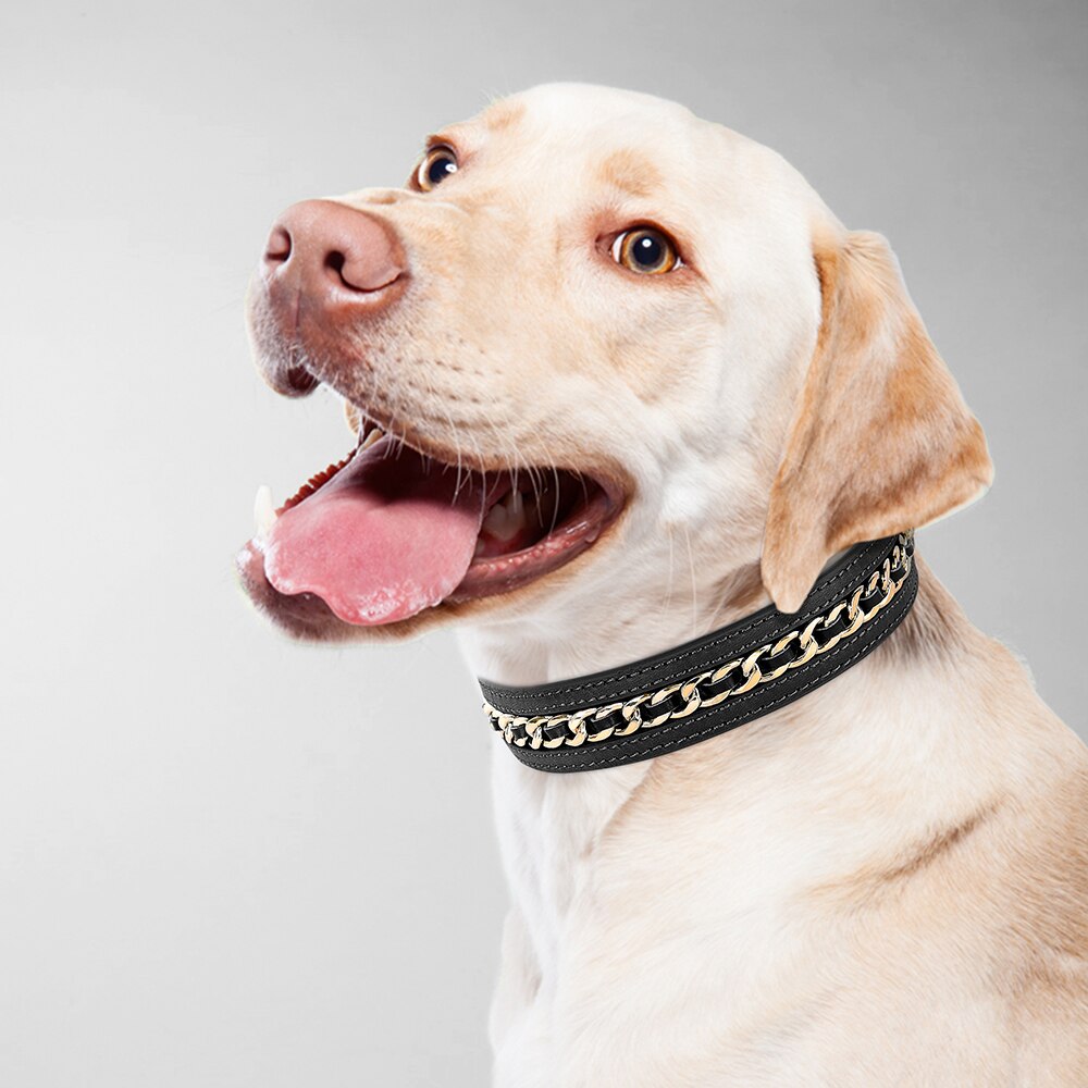 Metal-Decorated Leather Dog Collar