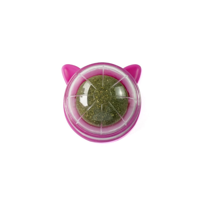 Purrfect Catnip Treat Ball