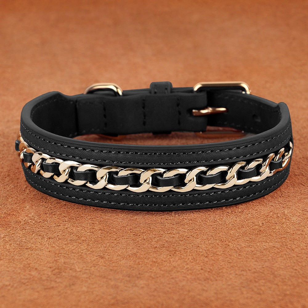 Metal-Decorated Leather Dog Collar