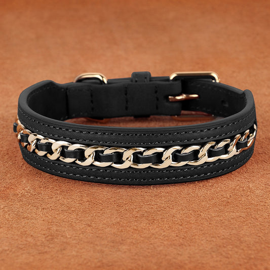 Metal-Decorated Leather Dog Collar