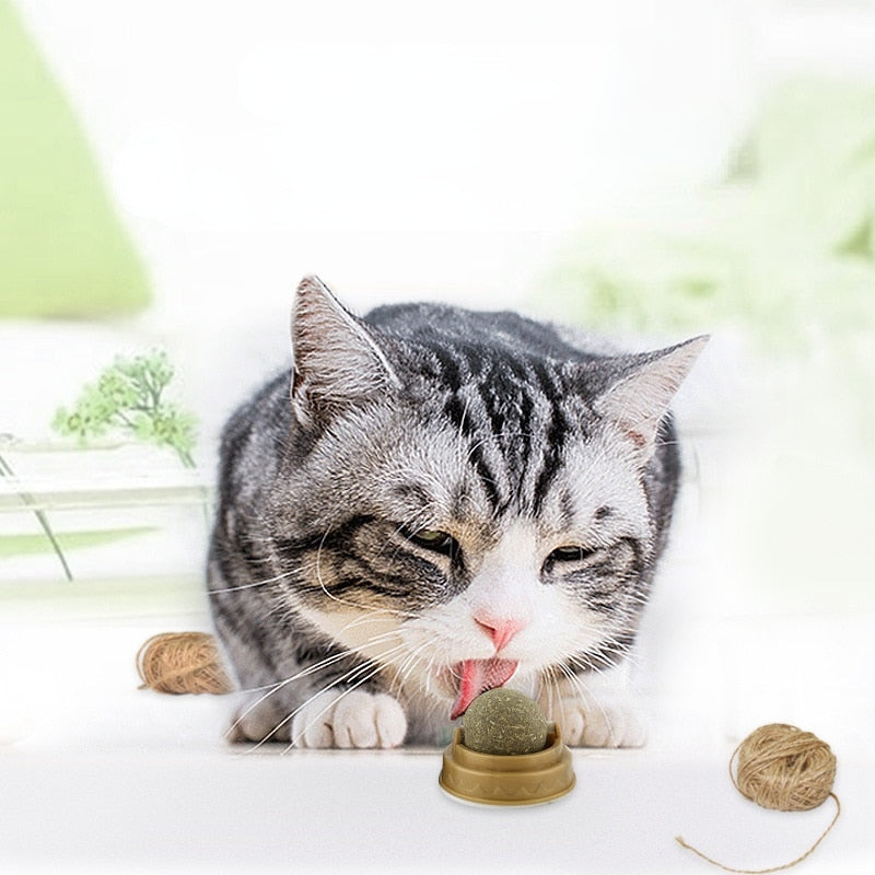 Purrfect Catnip Treat Ball